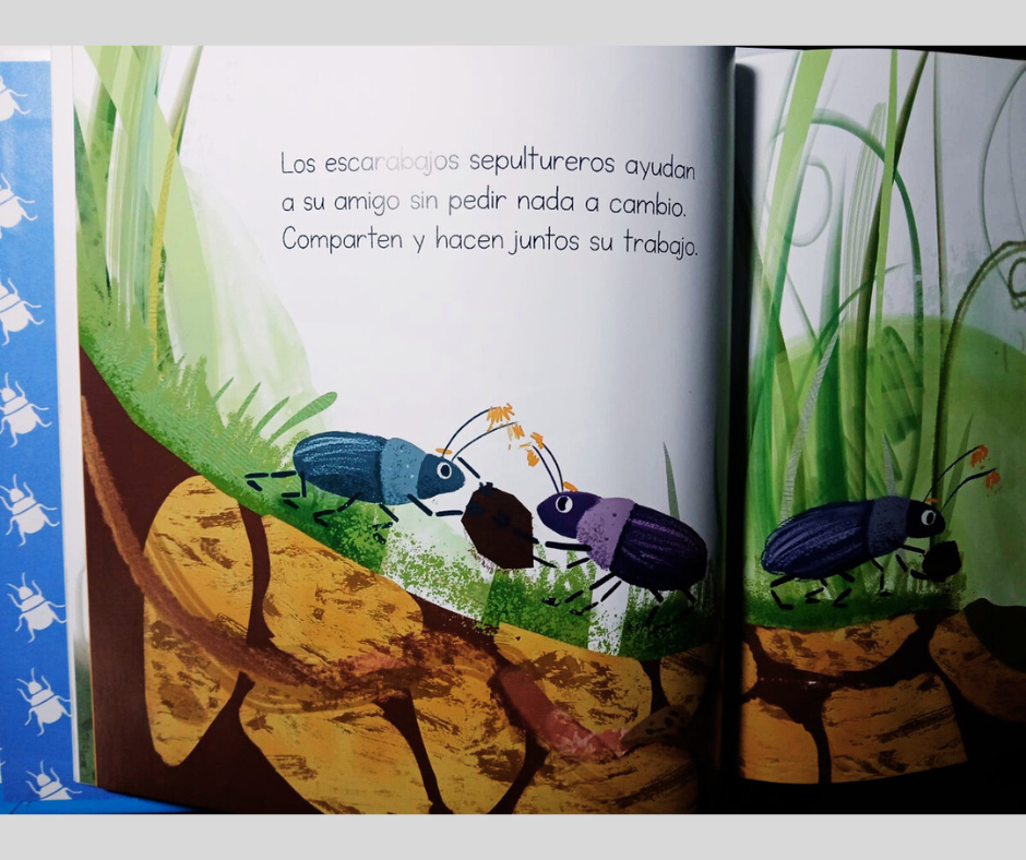 El apoyo mutuo y el escarabajo sepulturero - Imagen 2